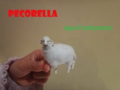 Pecorella ovatta